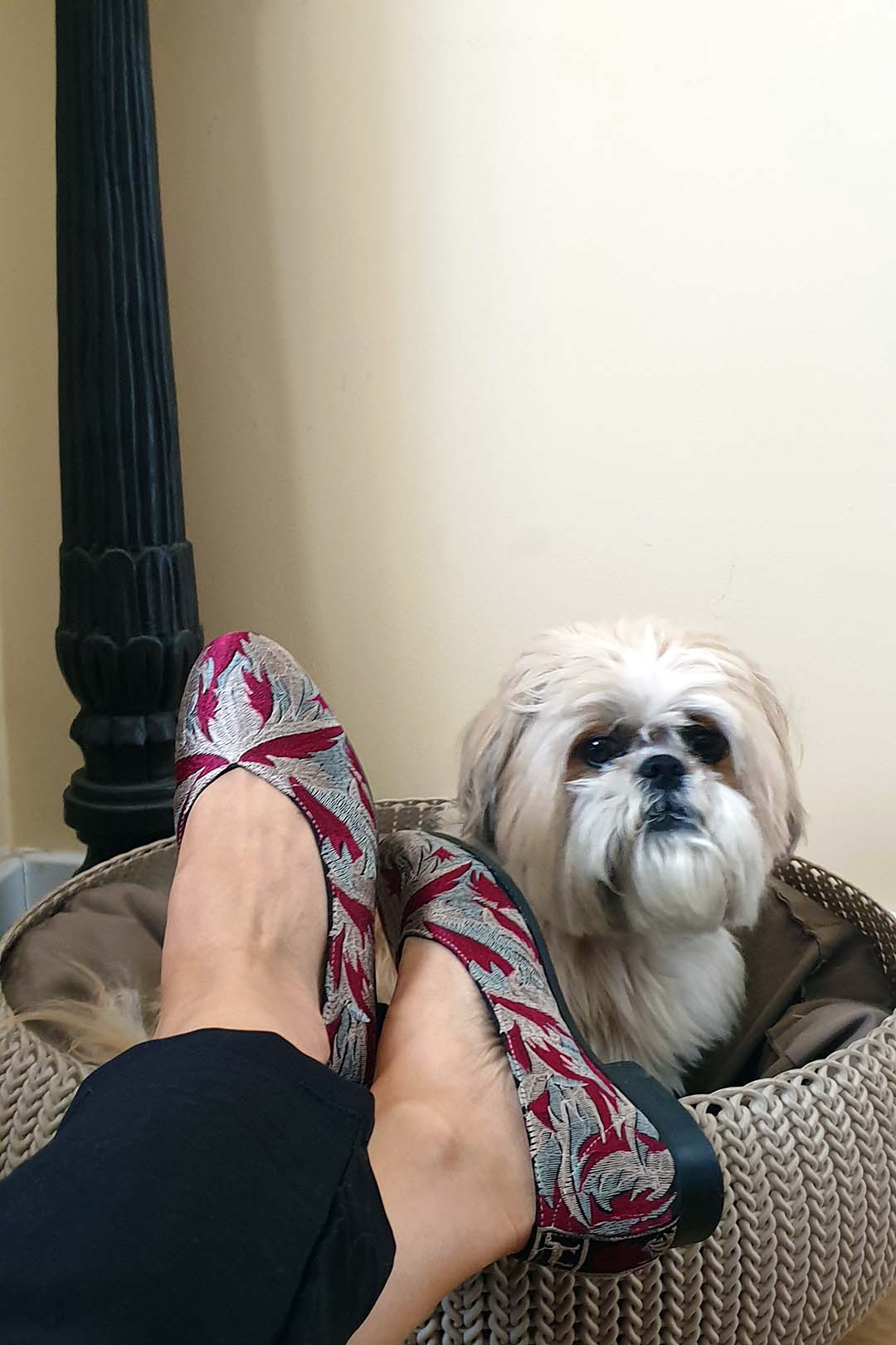 zapatos dalmatan-zapatos-bordados-mujer-bailarinas-tela-comodas-exclusivos-originales