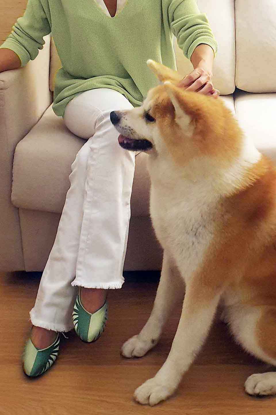 zapatos-bordados-dalmatan-exclusivos-diseño-verdes-originales