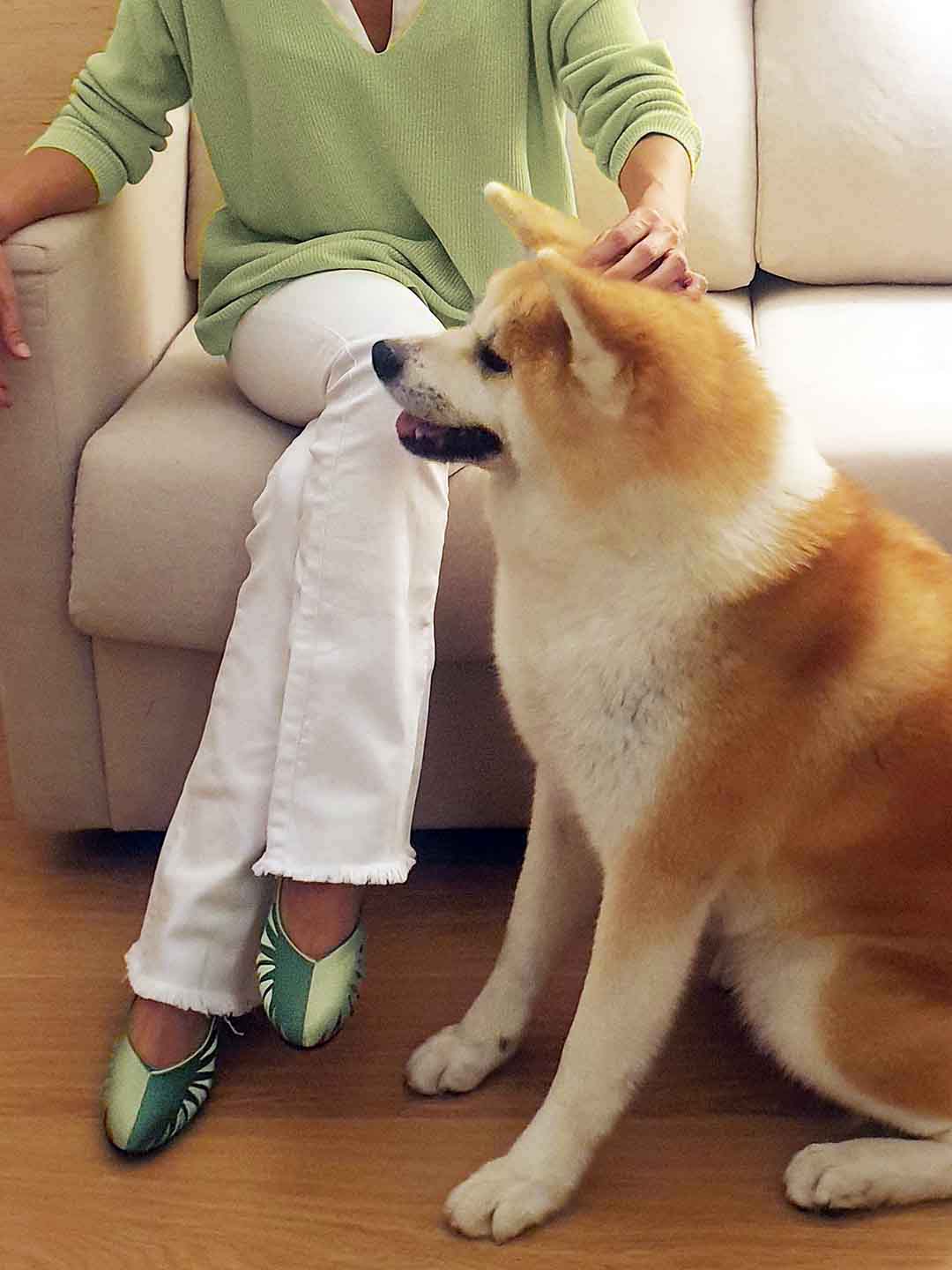 zapatos-bordados-dalmatan-exclusivos-diseño-verdes-originales
